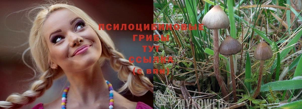 гашиш Дмитриев